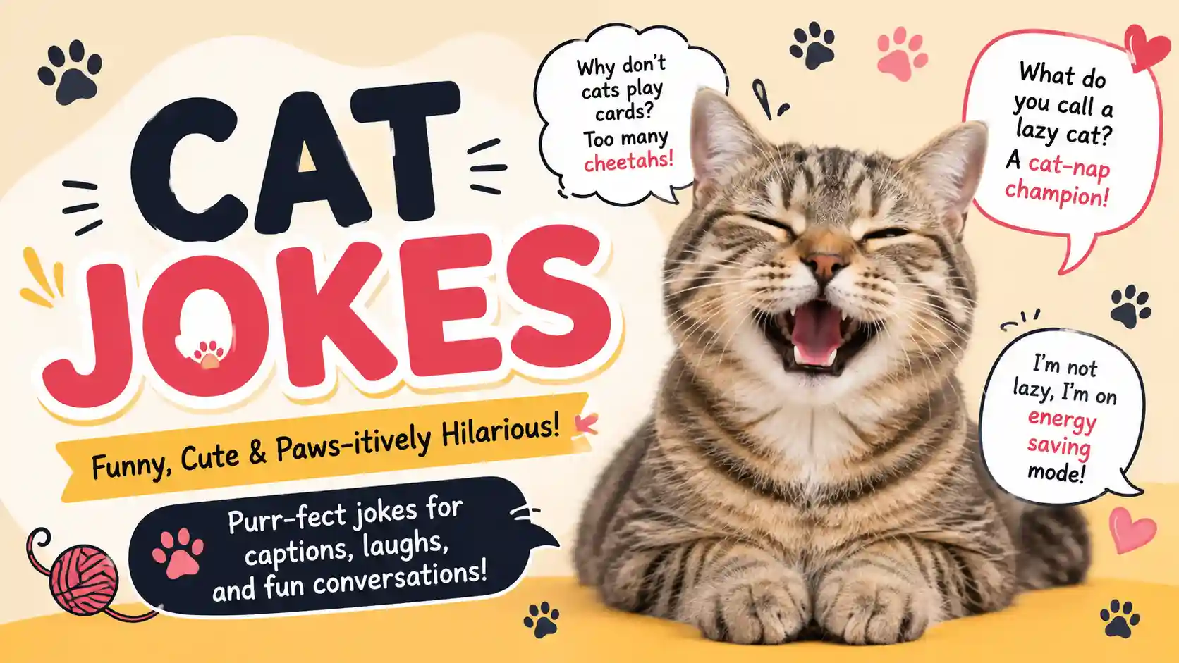 Cat Jokes